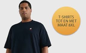 heren t shirts grote maten