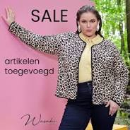 Ontdek de Diversiteit van Online Grote Maten Mode