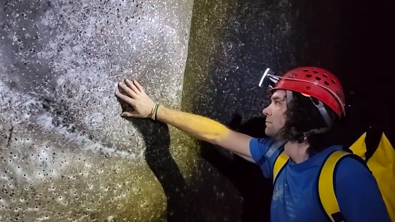 Ontdek het Gemak van Grote Online Winkels